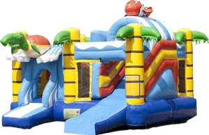 La tortue